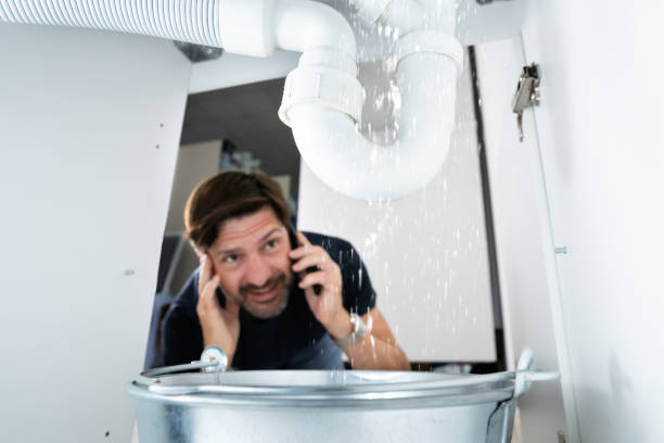 Best Local Plumber Services  in Tontitown, AR